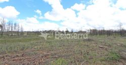 Terreno em Vila Verde