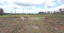Terreno em Vila Verde
