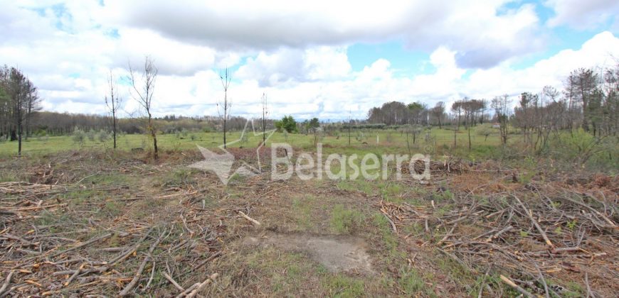Terreno em Vila Verde