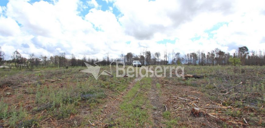 Terreno em Vila Verde