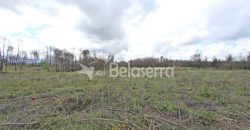 Terreno em Vila Verde