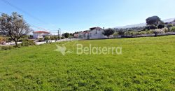Dois Terrenos para construção em Seia