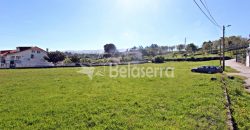 Dois Terrenos para construção em Seia
