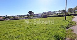 Dois Terrenos para construção em Seia