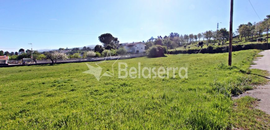 Dois Terrenos para construção em Seia