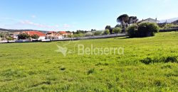 Dois Terrenos para construção em Seia