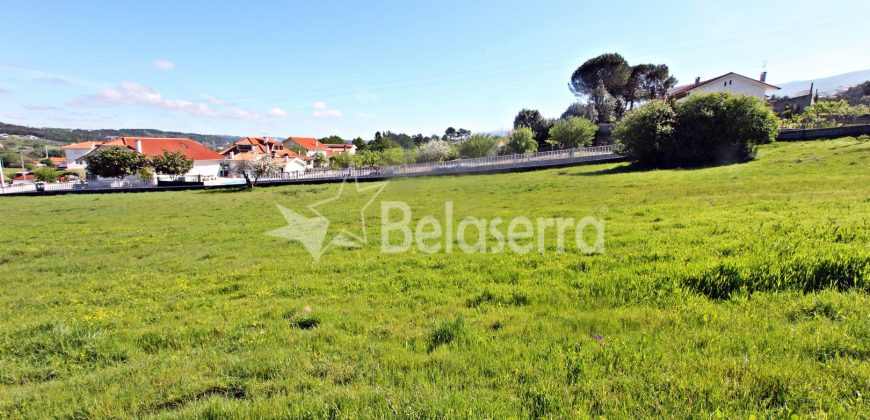 Dois Terrenos para construção em Seia