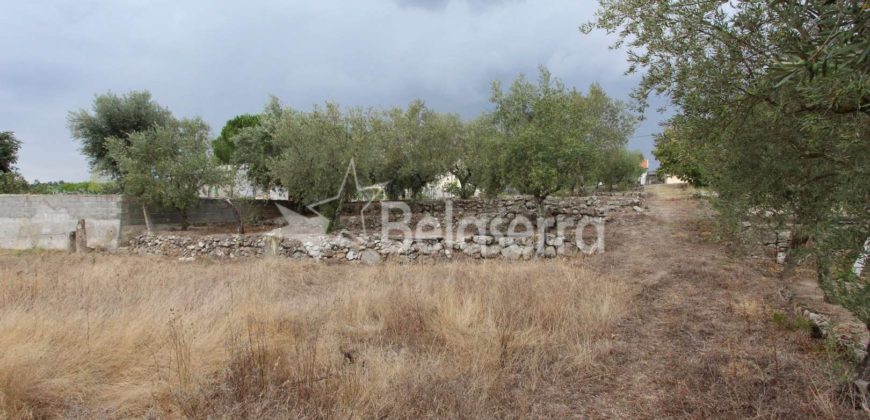 Terreno em Pinhanços