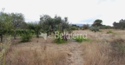Terreno em Pinhanços