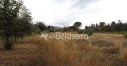 Terreno em Pinhanços