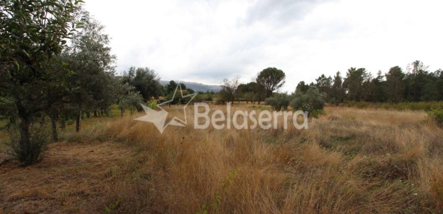 Terreno em Pinhanços