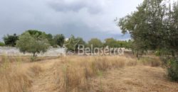 Terreno em Pinhanços