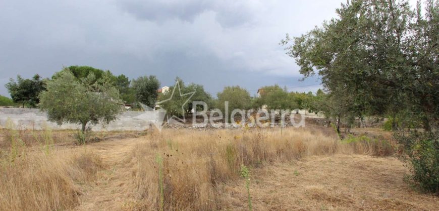 Terreno em Pinhanços