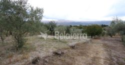 Terreno em Pinhanços