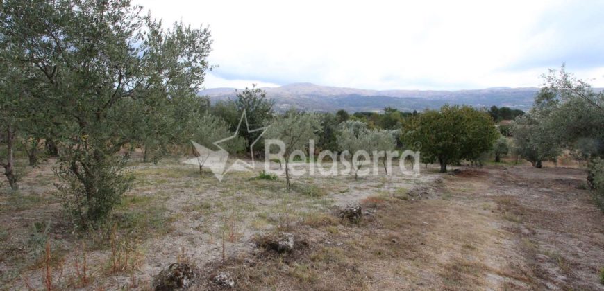 Terreno em Pinhanços