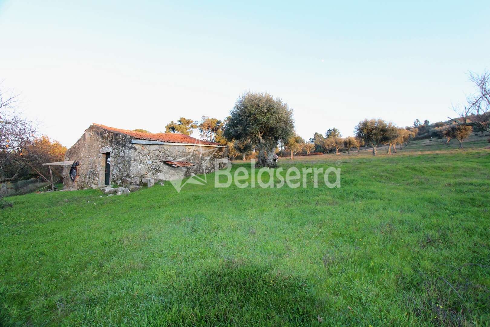 Quinta em São Paio Gouveia Belaserra Mediação Imobiliária / Real Estate Seia