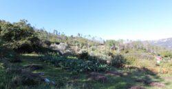 Quinta nas Corgas