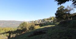 Quinta nas Corgas