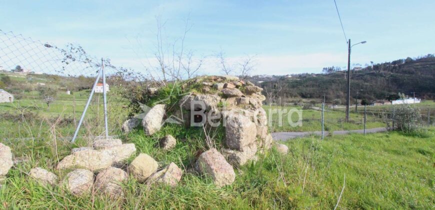 Quinta com ruína em Nogueira do Cravo