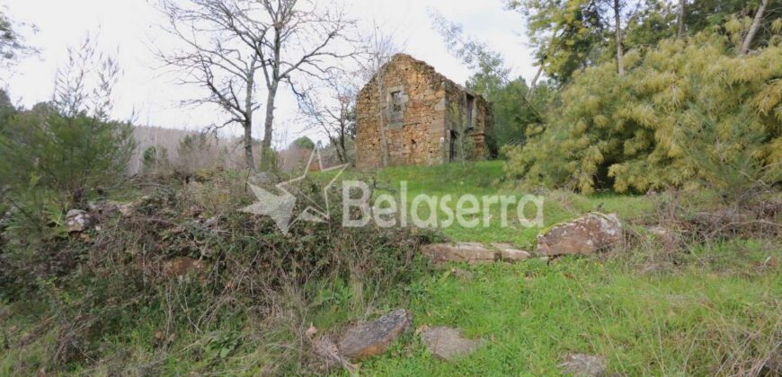 Quinta com ruína em Vila Pouca da Beira