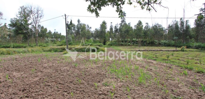 Terreno agrícola e pinhal no Espadanal – Tábua