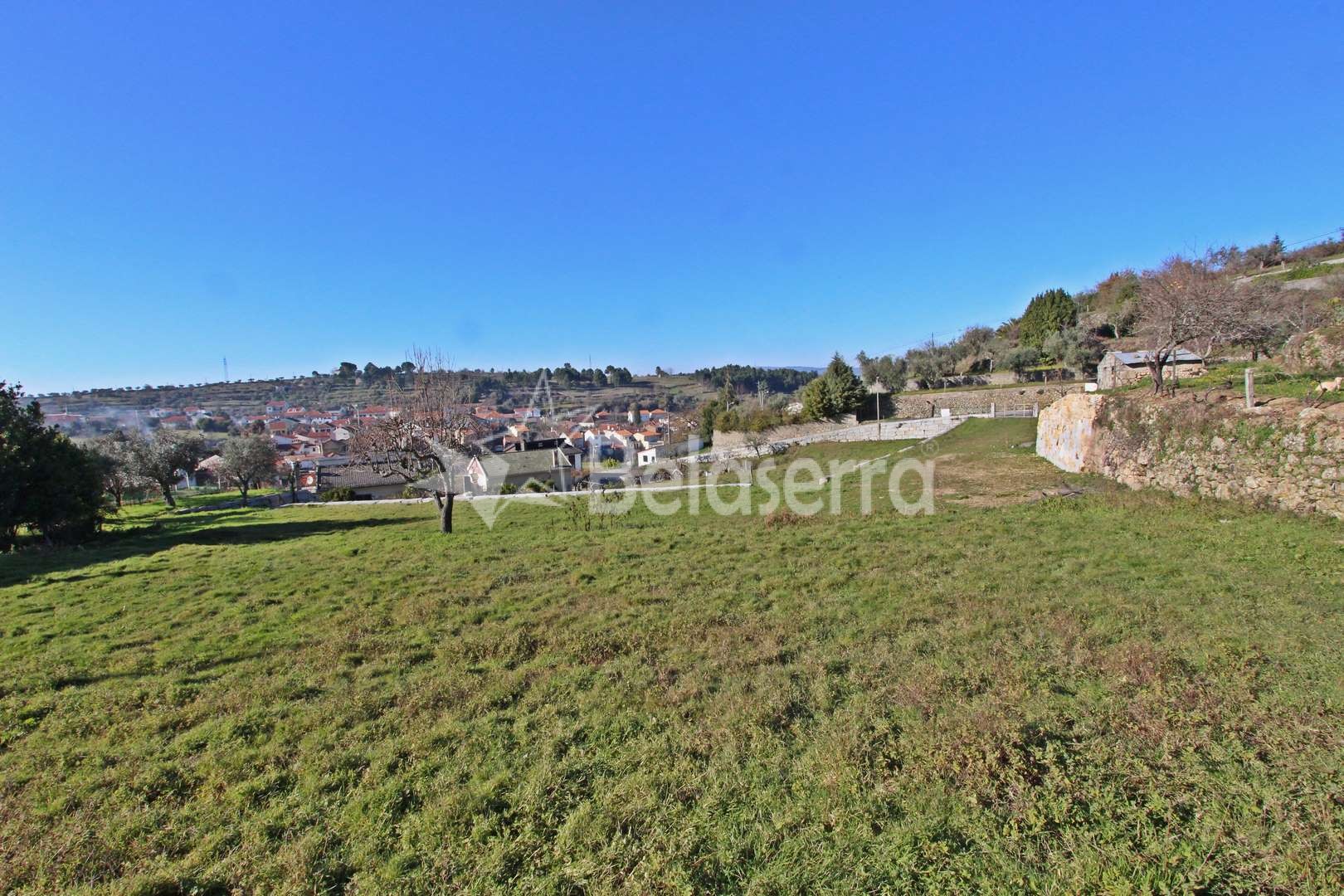 Terreno para construção em São Paio Gouveia Belaserra Mediação Imobiliária / Real Estate