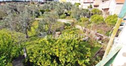 2 Moradias em Pinhanços com terrenos