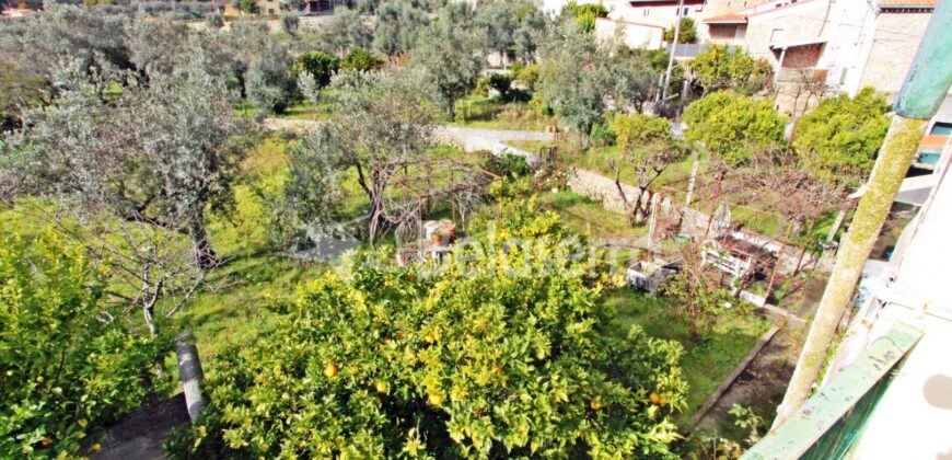 2 Moradias em Pinhanços com terrenos