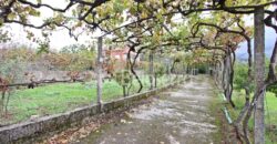 Moradia com terreno em Nespereira