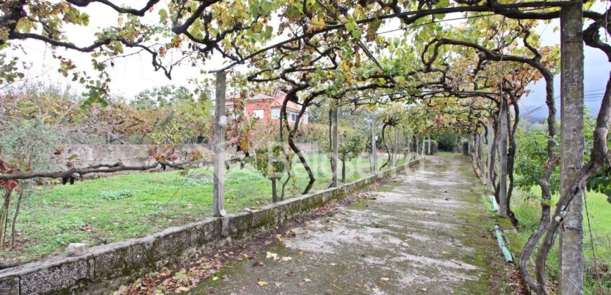 Moradia com terreno em Nespereira