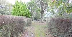 Moradia com terreno em Nespereira