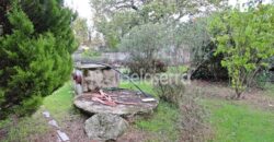 Moradia com terreno em Nespereira