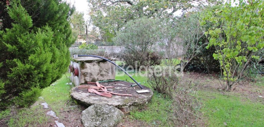 Moradia com terreno em Nespereira