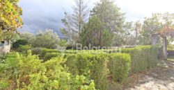 Moradia com terreno em Nespereira