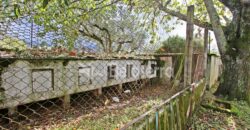 Moradia com terreno em Nespereira