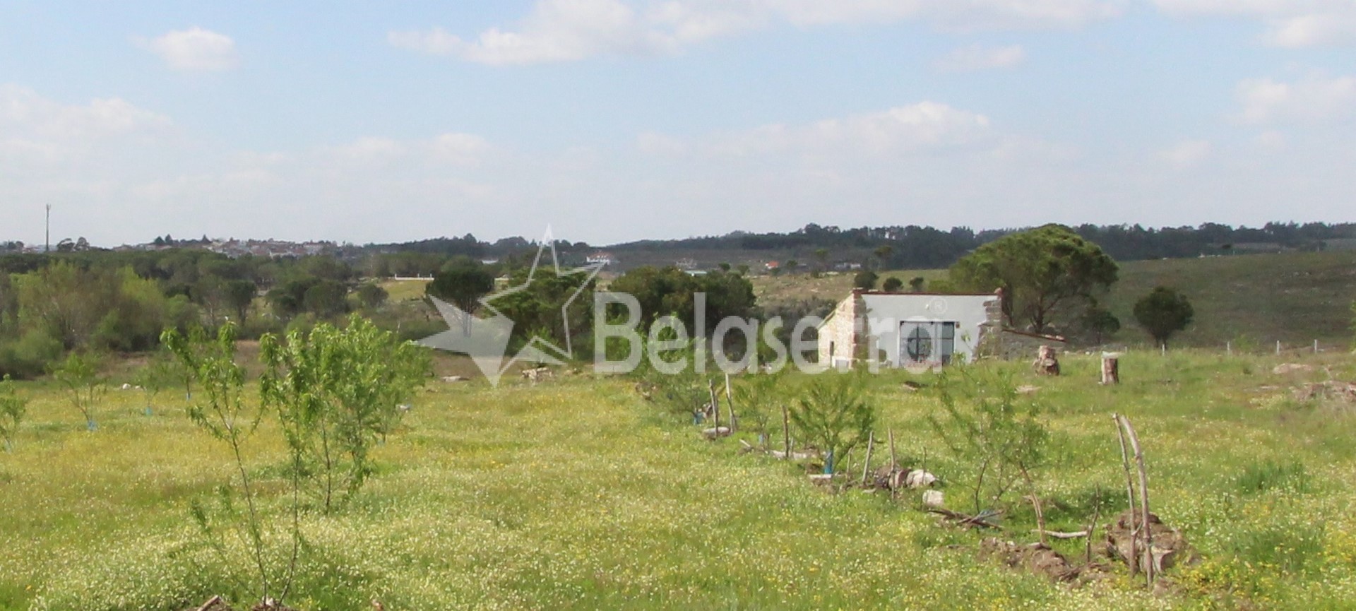 Quinta em Santa Marinha Belaserra Mediação Imobiliária / Real
