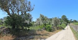 terreno agrícola em Novelães