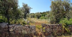 terreno agrícola em Novelães