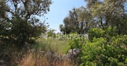 terreno agrícola em Novelães