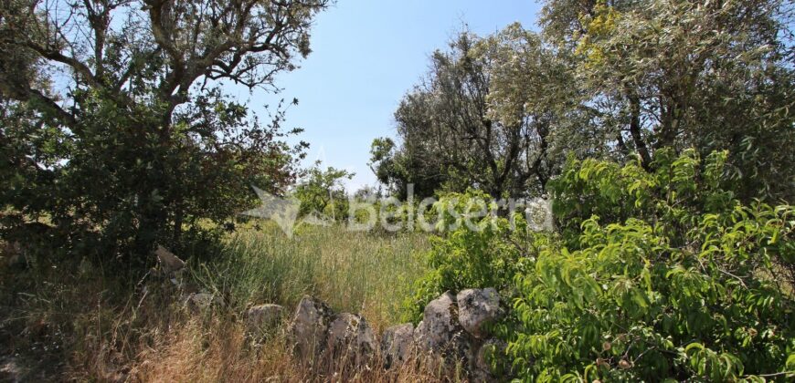 terreno agrícola em Novelães