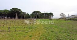 Moradia com Terreno em Pinhanços