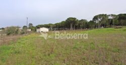 Moradia com Terreno em Pinhanços