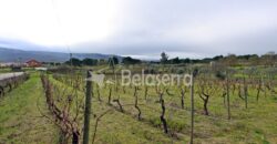 Moradia com Terreno em Pinhanços