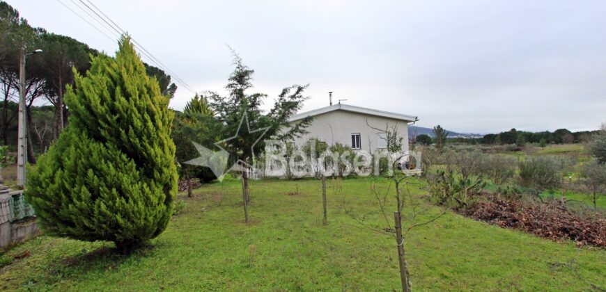 Moradia com Terreno em Pinhanços