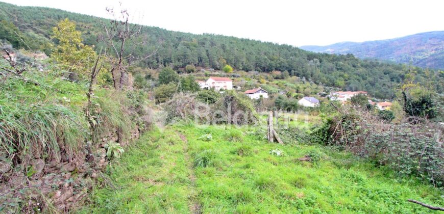 Casa e Terreno em Vila Cova á Coelheira