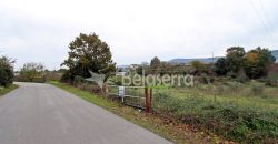 Terreno Agrícola na Vila Chã