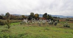 Terreno Agrícola na Vila Chã