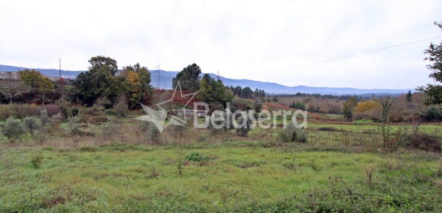 Terreno Agrícola na Vila Chã