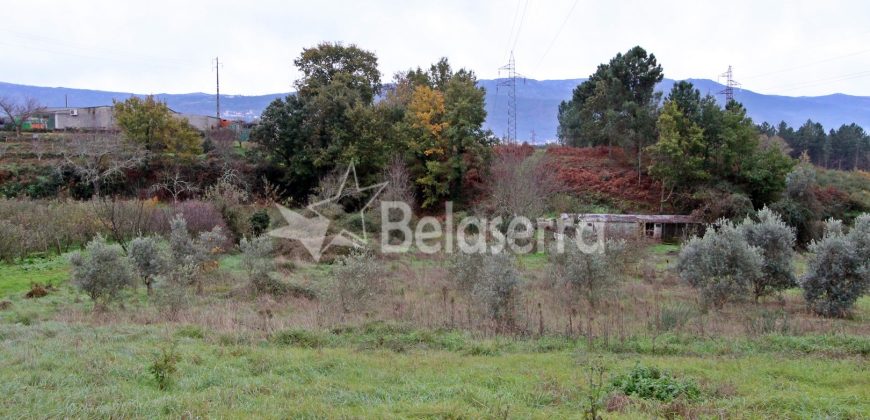 Terreno Agrícola na Vila Chã