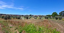 Terreno Agrícola em Vila Cortês